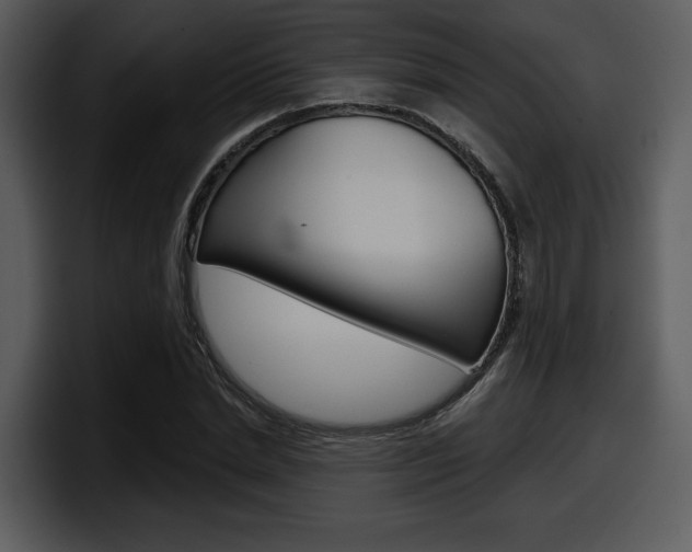 X0000098090830200804040725