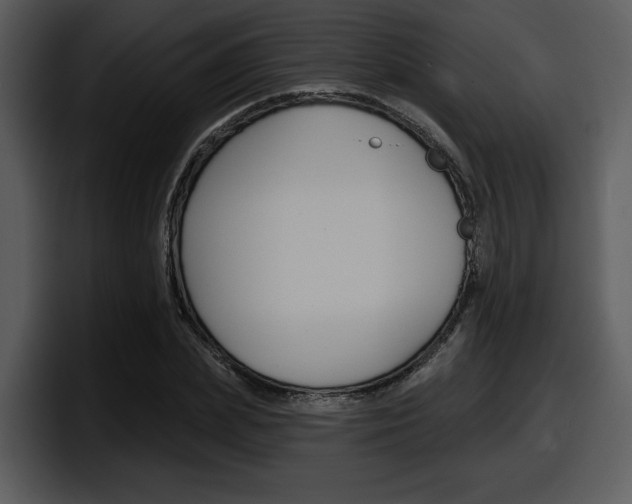 X0000098090831200804040725