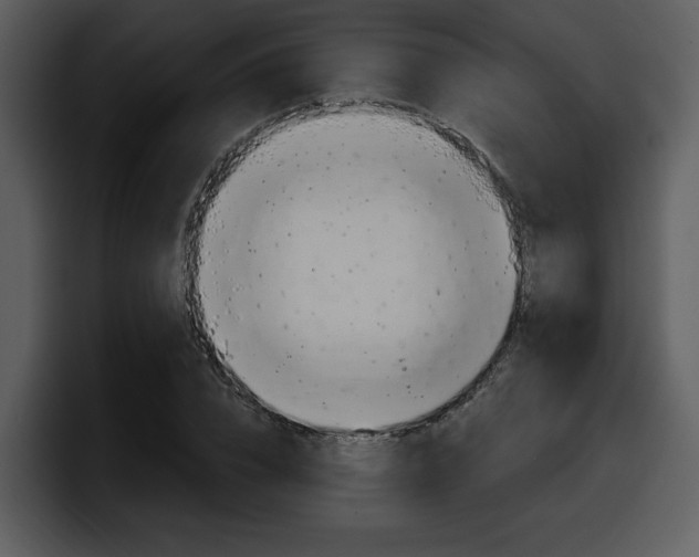 X0000098090832200804040725