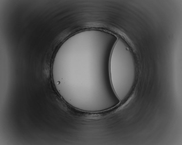 X0000098090833200804040725