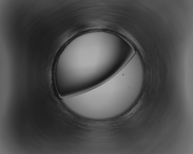 X0000098090834200804040725