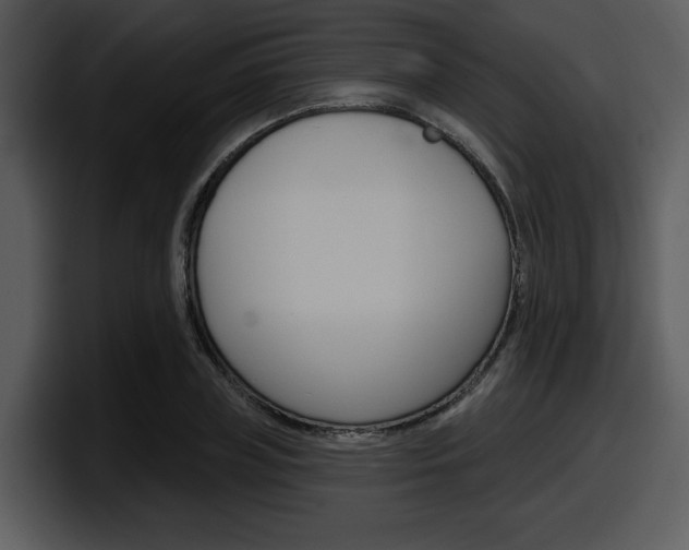 X0000098090835200804040725
