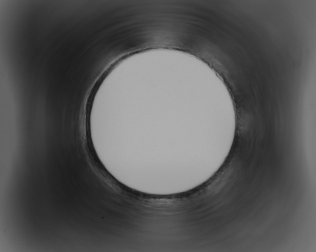 X0000098090836200804040725