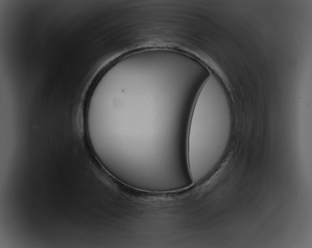 X0000098090838200804040725
