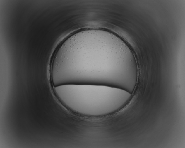 X0000098090839200804040725