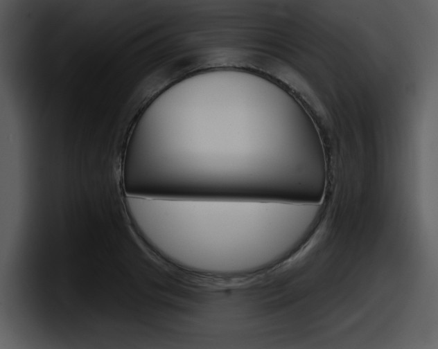X0000098090841200804040725