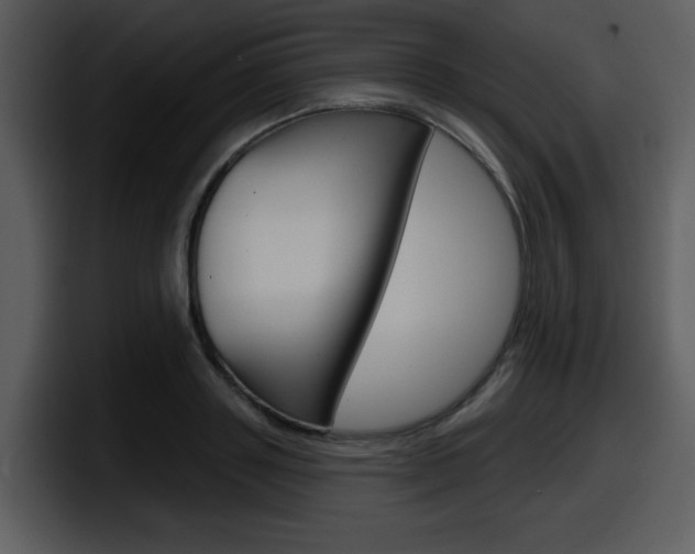 X0000098090843200804040725