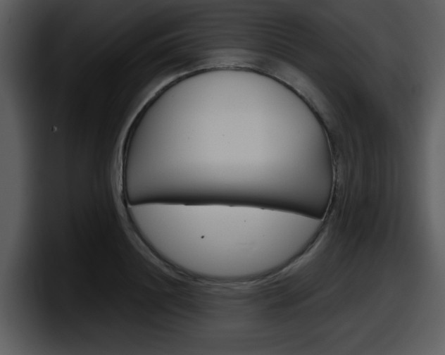 X0000098090844200804040725