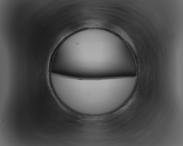 X0000098090845200804040725
