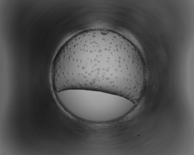 X0000098090847200804040725