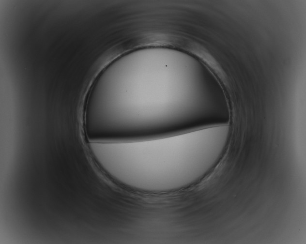 X0000098090850200804040725