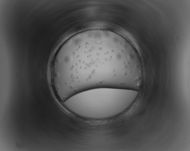 X0000098090851200804040725