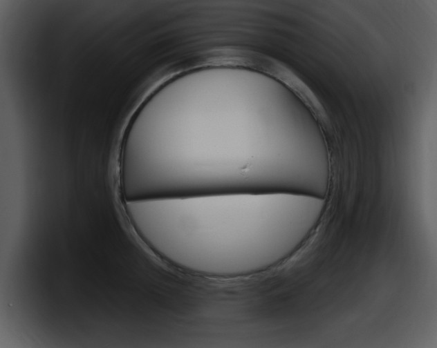 X0000098090852200804040725