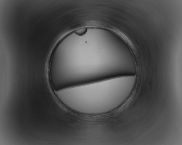 X0000098090854200804040725