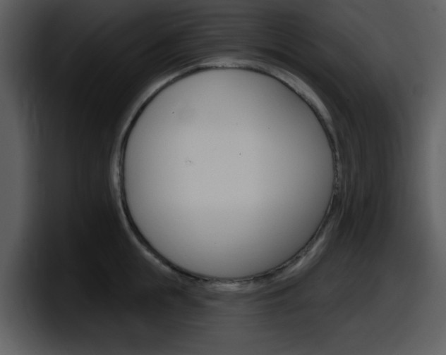 X0000098090855200804040725