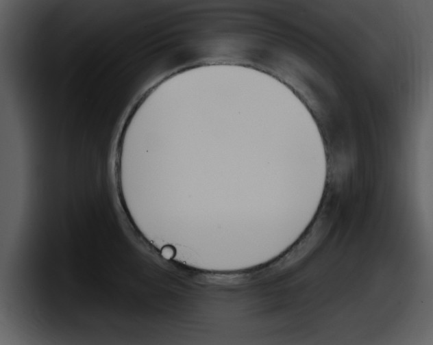 X0000098090856200804040725