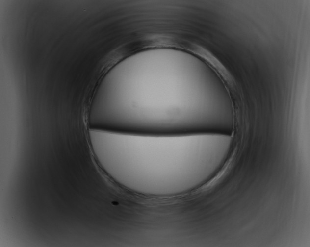 X0000098090857200804040725