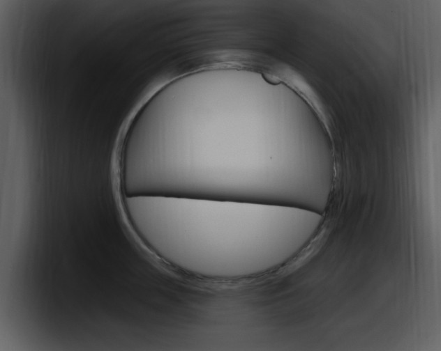 X0000098090859200804040725