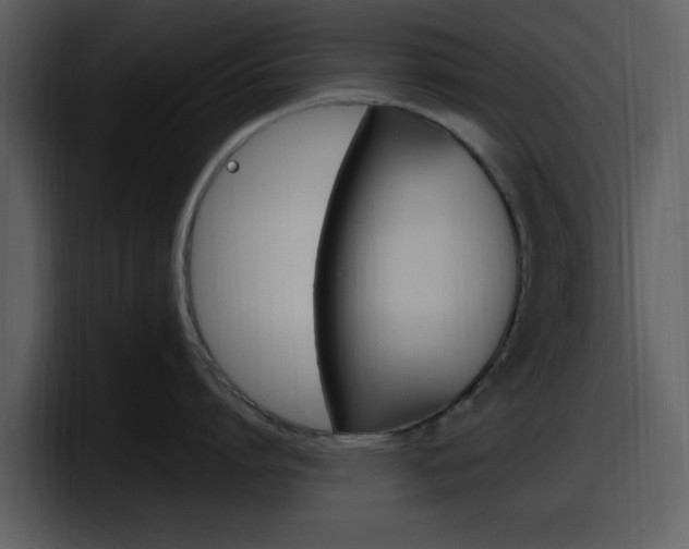 X0000098090864200804040725