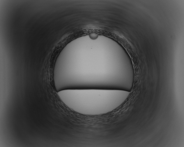 X0000098090870200804040724