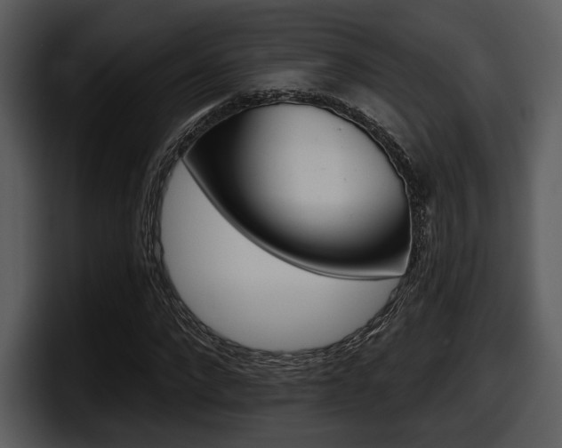 X0000098090872200804040724
