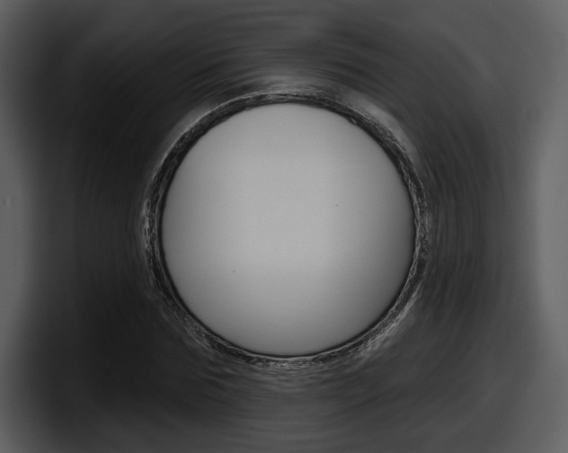 X0000098090875200804040724