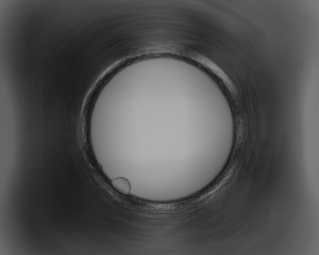 X0000098090878200804040724