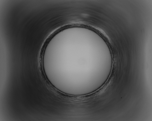 X0000098090879200804040724