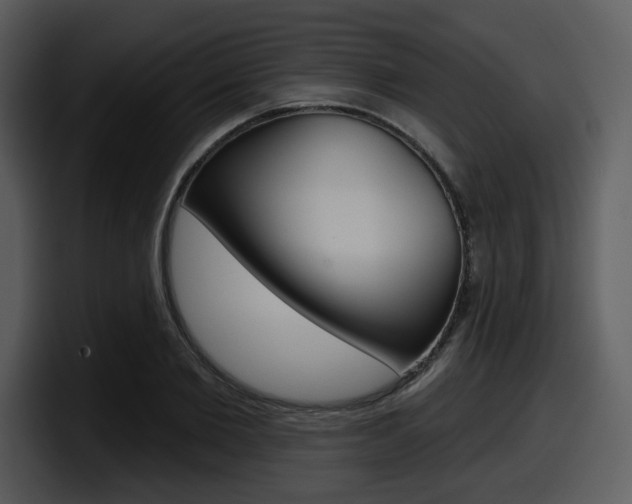 X0000098090885200804040724