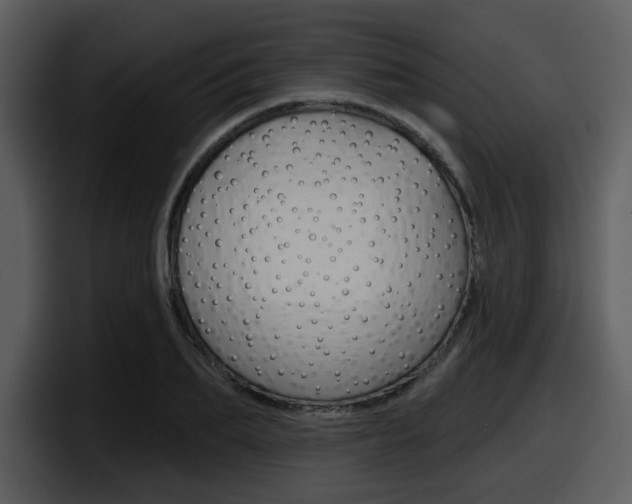 X0000098090887200804040724