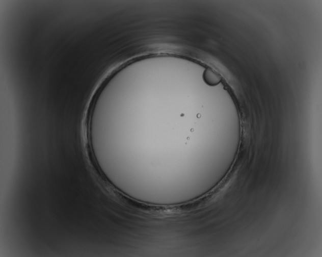 X0000098090891200804040724