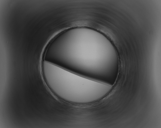 X0000098090894200804040724