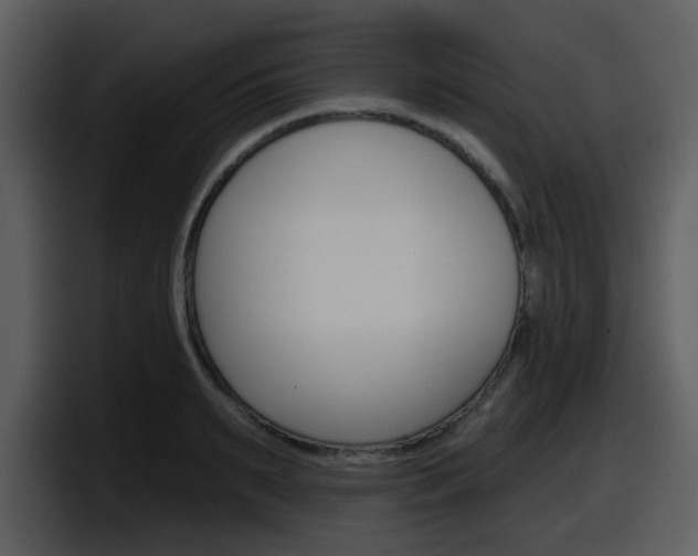 X0000098090895200804040724