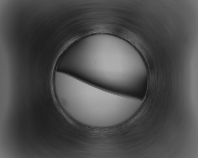 X0000098090898200804040724