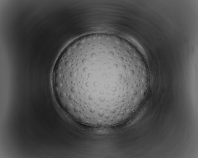 X0000098090899200804040724