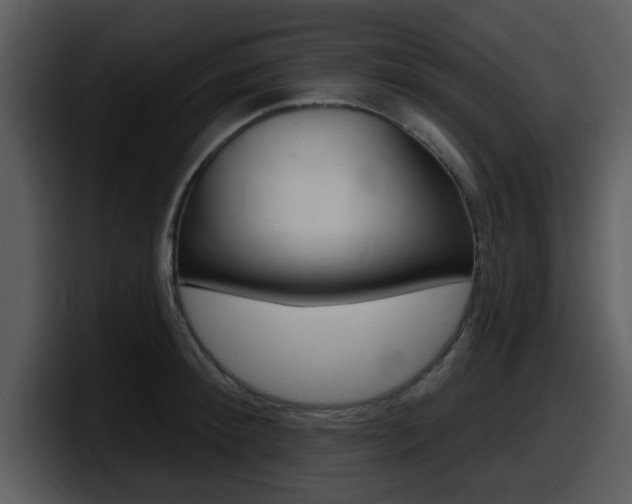 X0000098090900200804040724