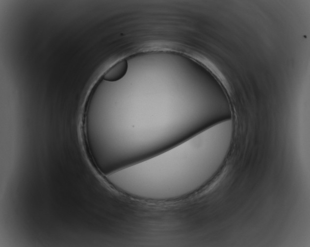 X0000098090901200804040724