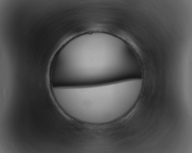 X0000098090902200804040724