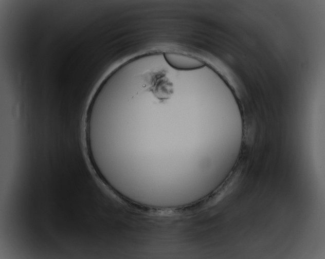 X0000098090903200804040724