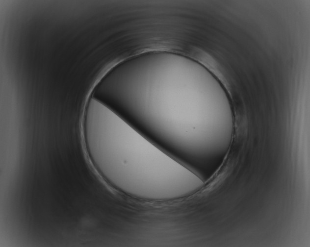 X0000098090906200804040724