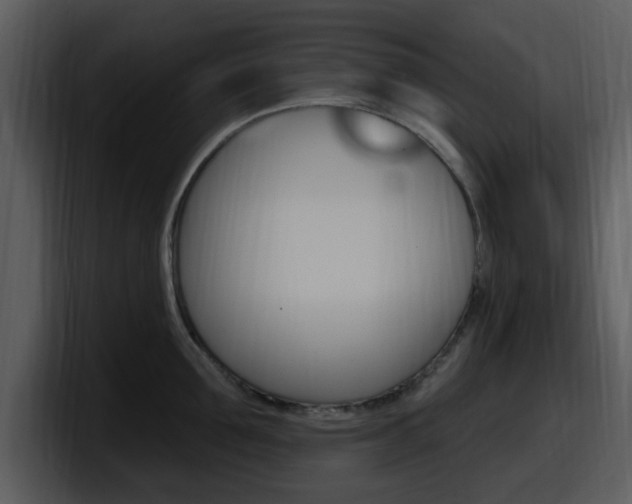 X0000098090907200804040724