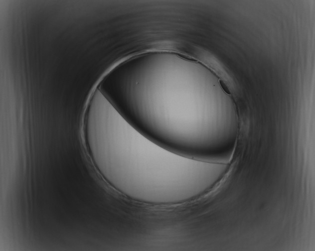 X0000098090908200804040724