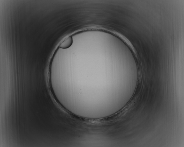 X0000098090911200804040724