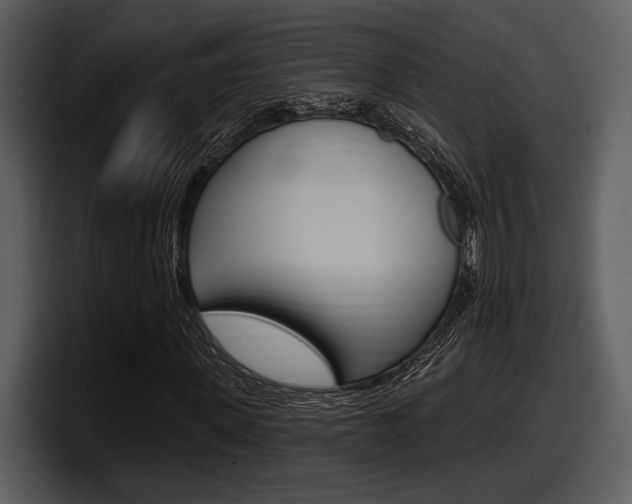 X0000098090915200804040723