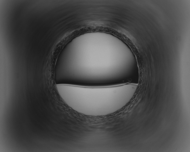 X0000098090919200804040723