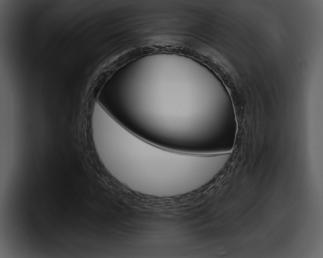 X0000098090920200804040723