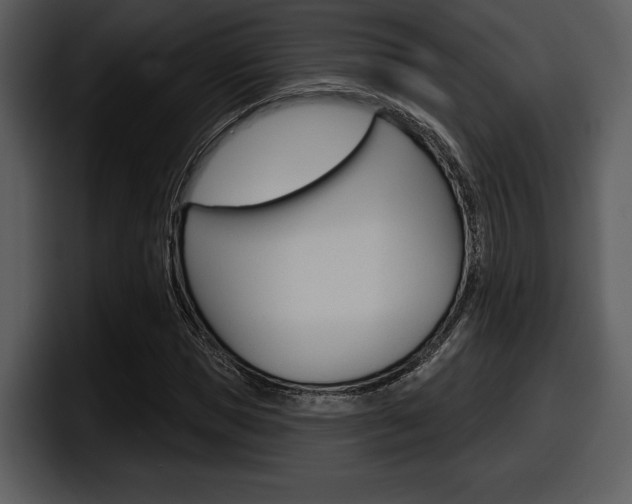 X0000098090921200804040723