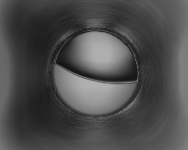 X0000098090922200804040723