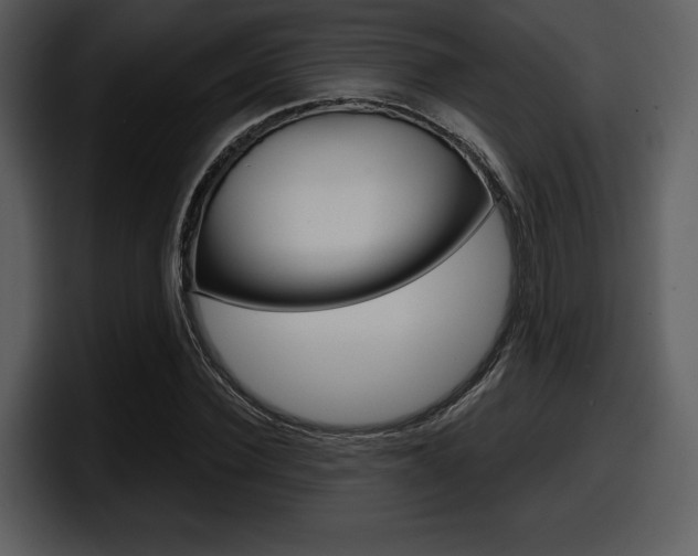 X0000098090924200804040723