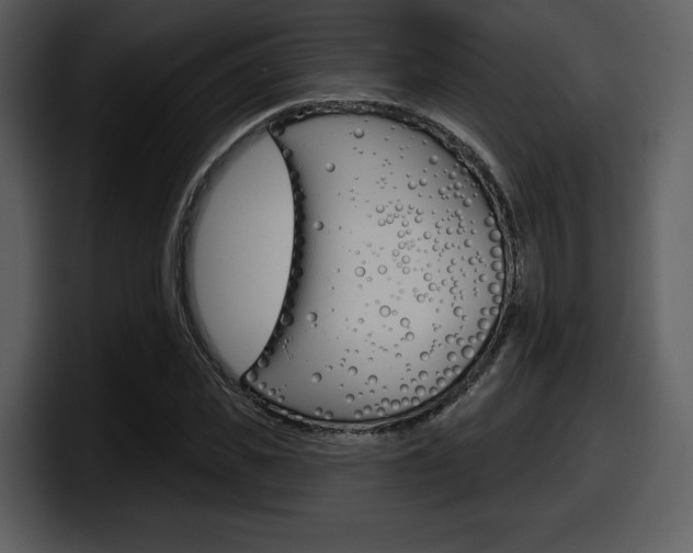 X0000098090925200804040723